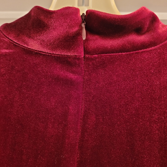 Calvin Klein Rich Burgundy Velvet Dress - Picture 6 of 7